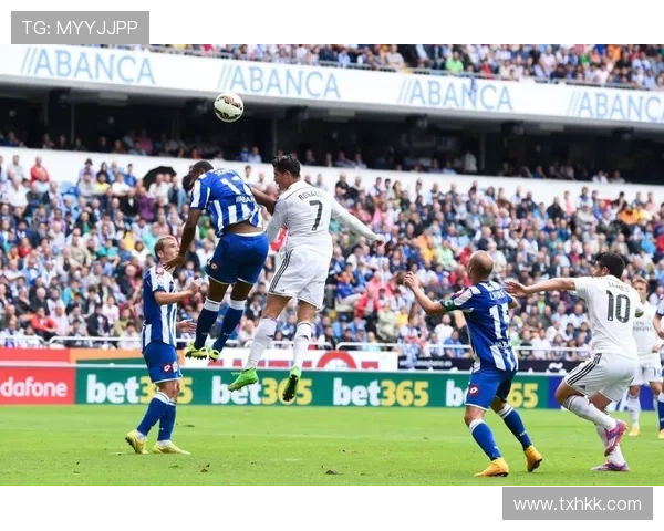 阿韦洛亚的穆式底色与务实革新